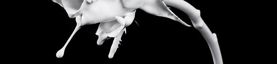 Fotografie Experimente